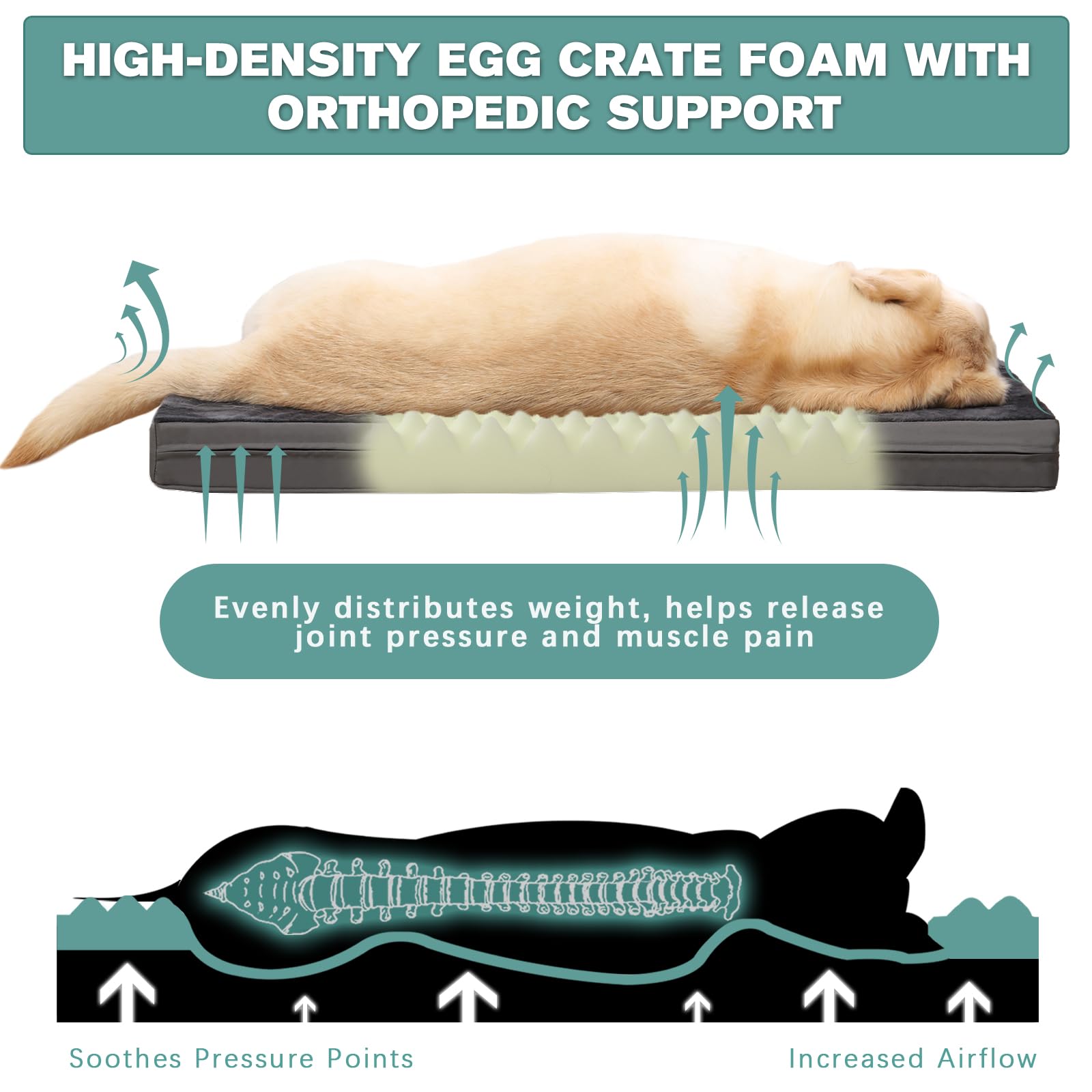 Vonabem bed-47x29-4in-large-breed shows ample sleep space for big dogs