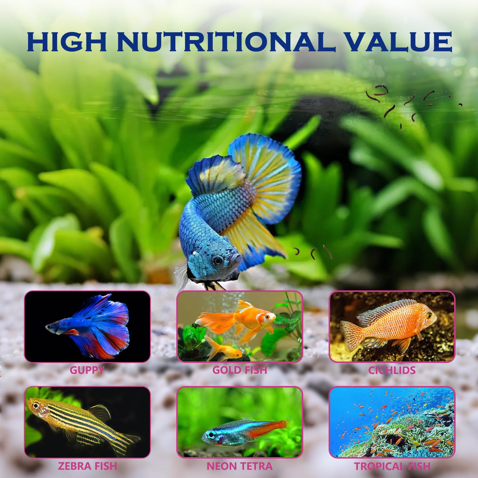 Vorenzyme Blood Worms color boost visuals suggesting enhanced coloration