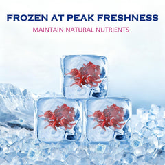 Vorenzyme Freeze Dried Blood Worms packaging with double seal to lock freshness