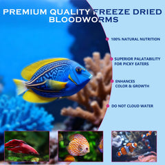 Vorenzyme Blood Worms ready to feed used in a daily feeding routine