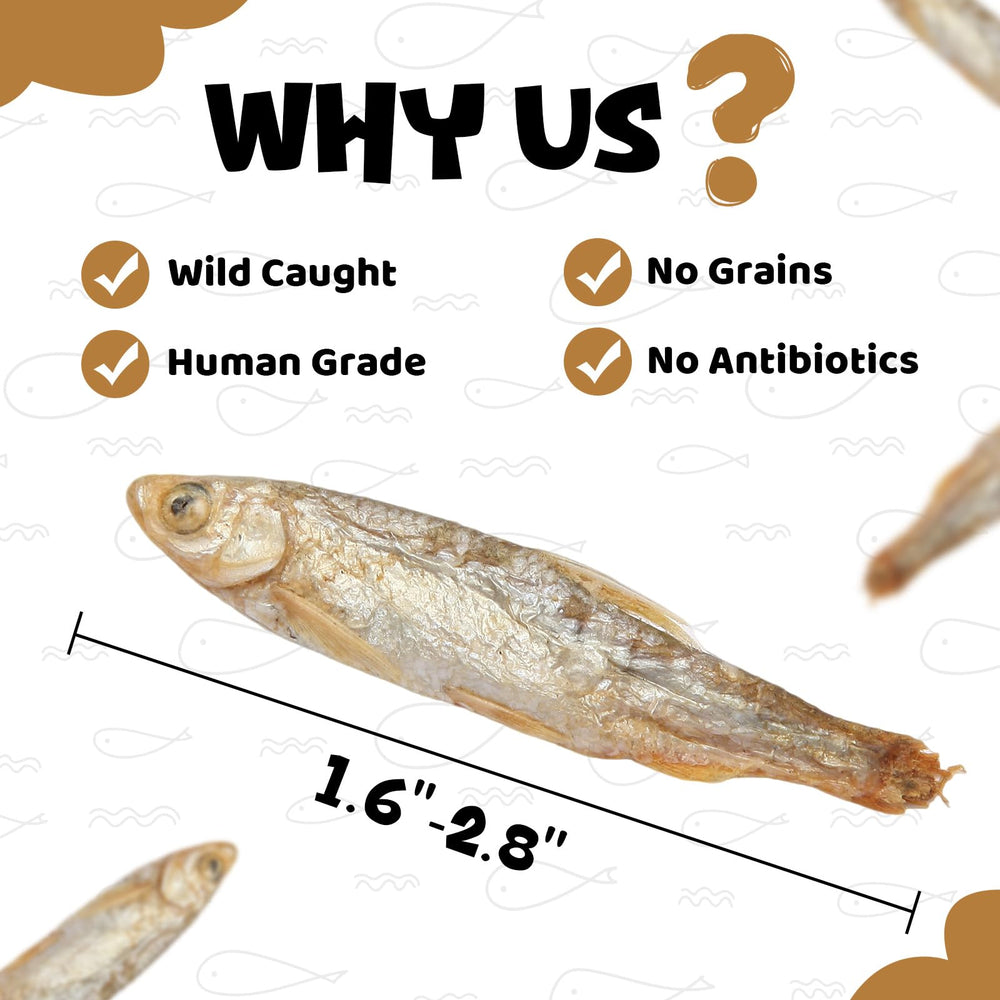 Vorenzyme Minnows suitable for all breeds and sizes, easy to chew.