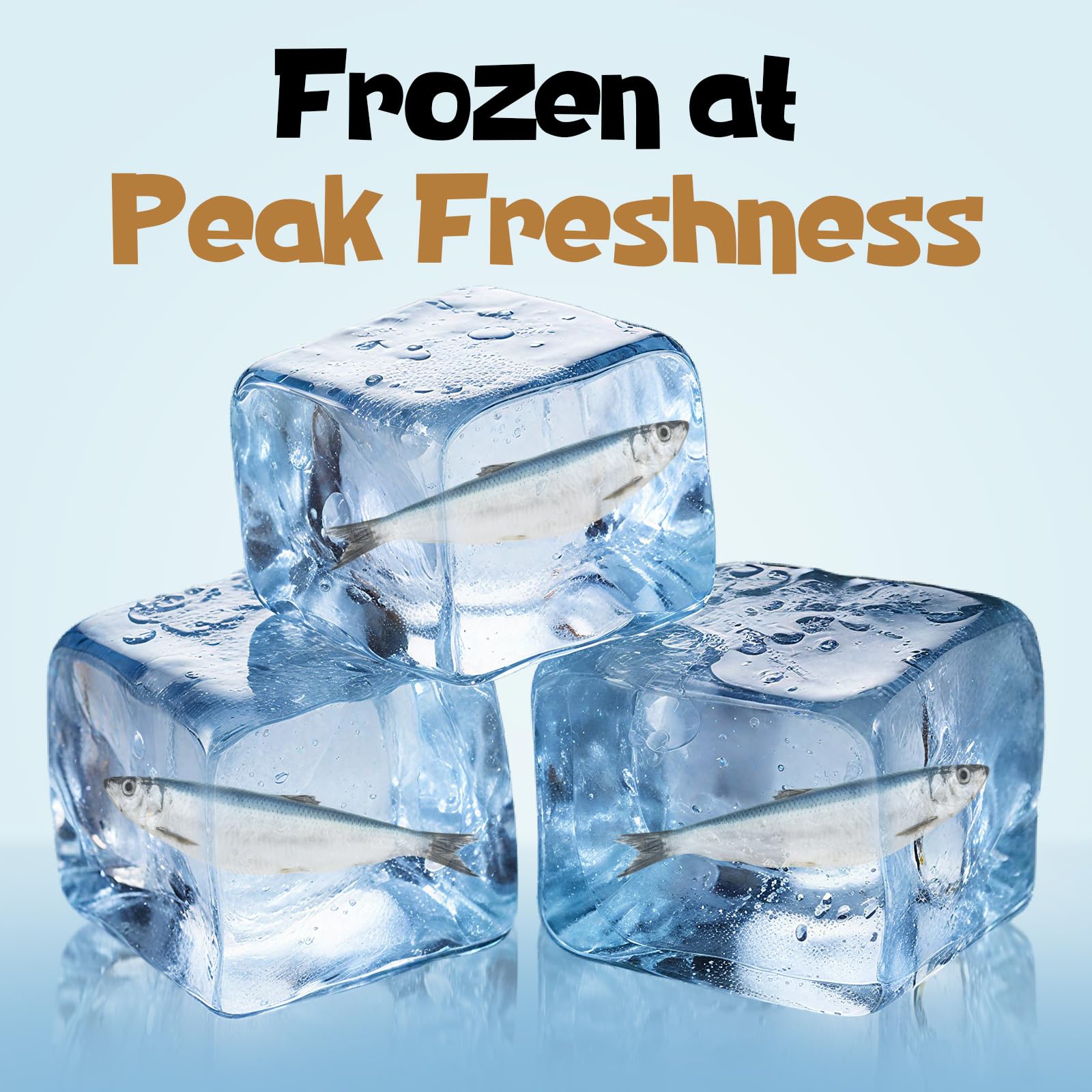 Vorenzyme Minnows resealable container emphasizes convenient daily use.