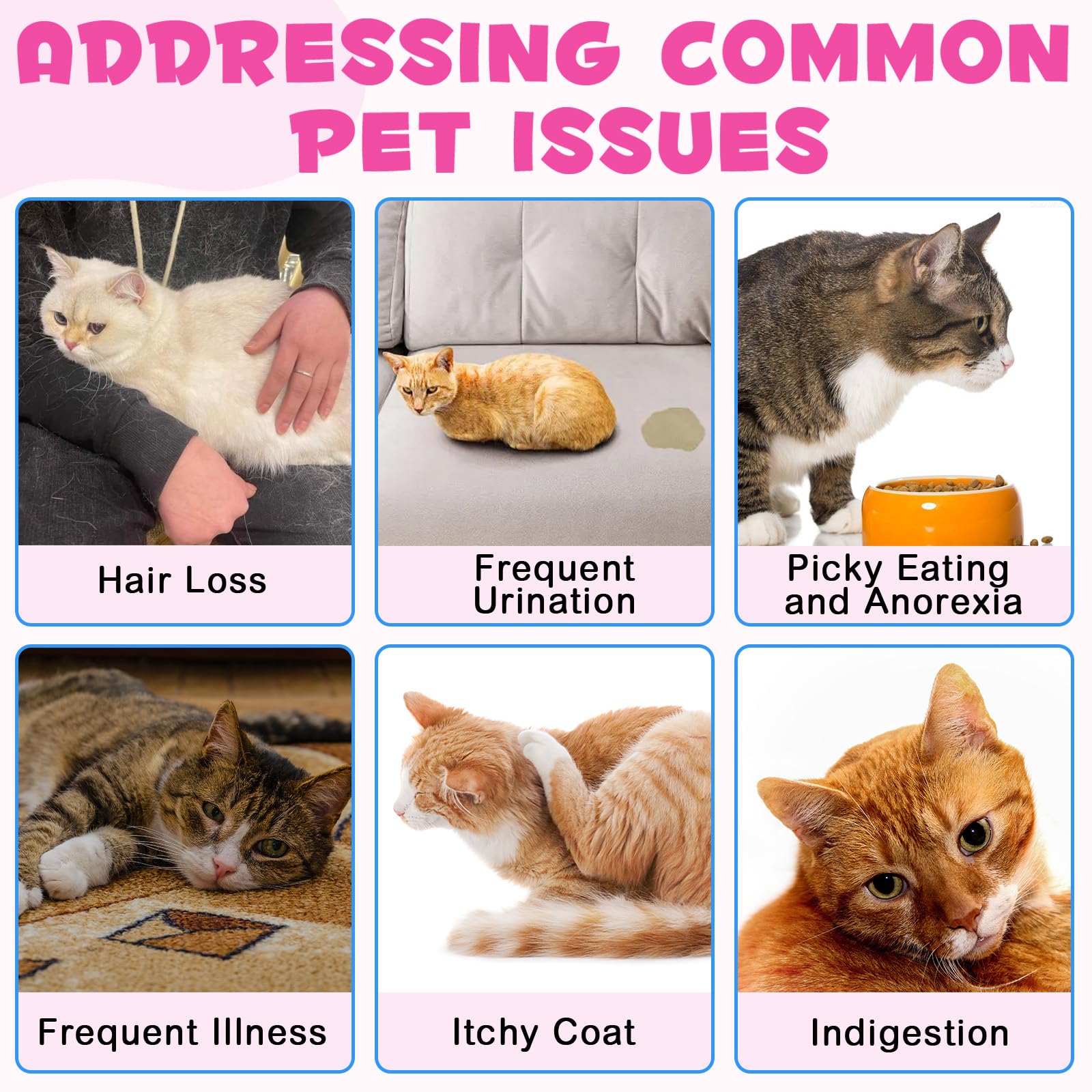 Vortexonix Cat Collagen Drops all-breeds friendly formula aiding digestibility