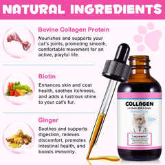 Vortexonix Cat Collagen Drops dropper ready for precise daily serving and joint support