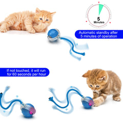 VORZOKISPL Cat Ball Toy with bird sound feature enhances curiosity and play