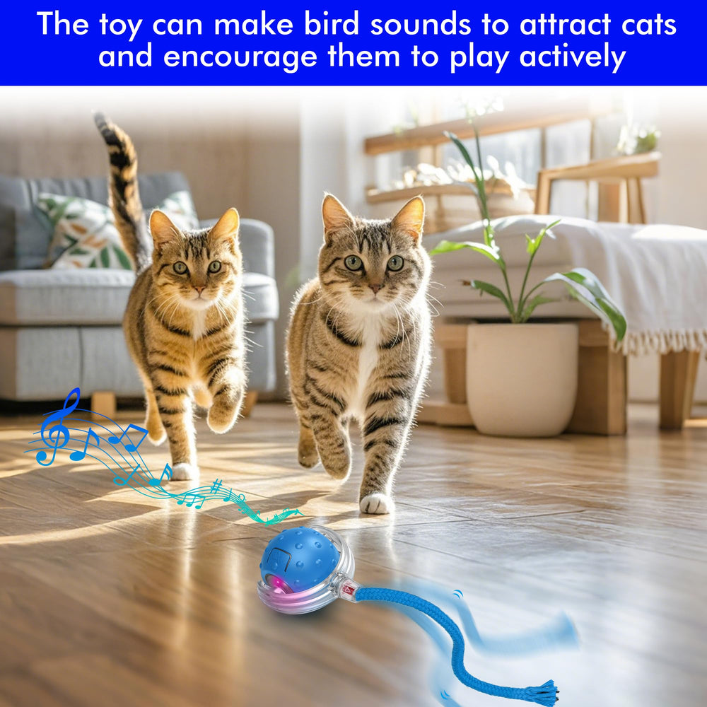 VORZOKISPL Rechargeable cat toy with USB charging for convenient reuse