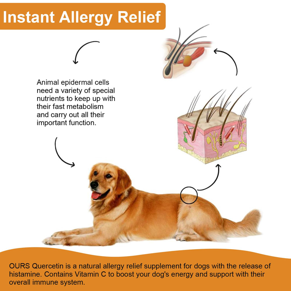 VOSIFSDIY dog quercetin dropper dispenses precise dosing for easy use.