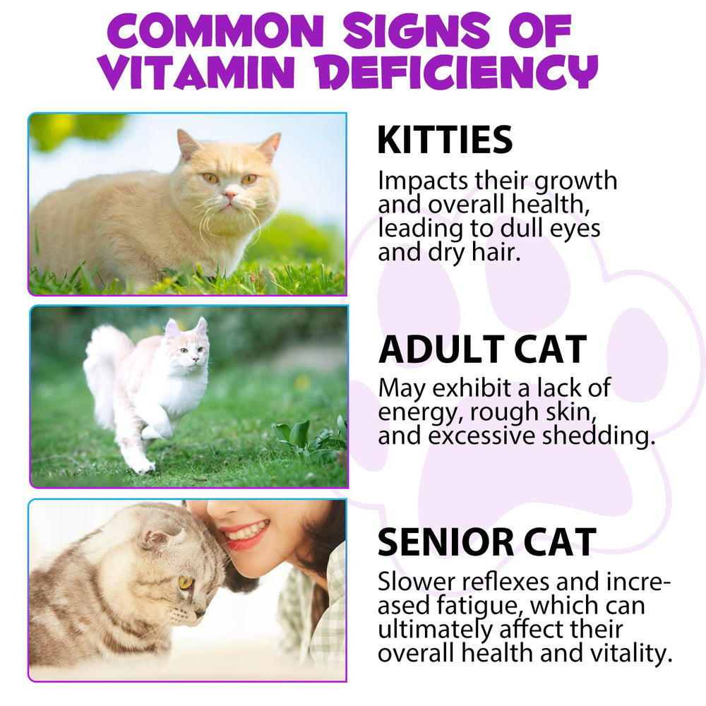 VOSIFSDIY cat 15-in-1 supplement layout showing comprehensive nutrition