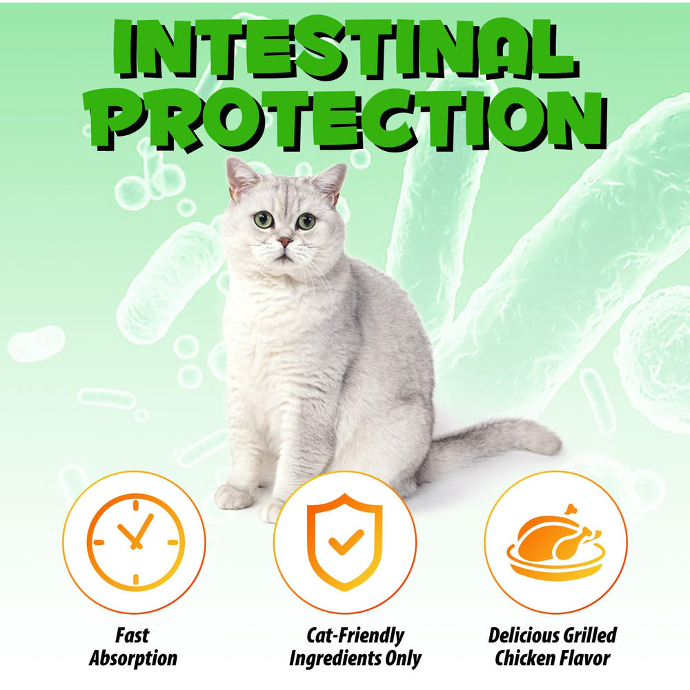 VOSIFSDIY Cat Constipation Relief ingredients close-up emphasizes natural components