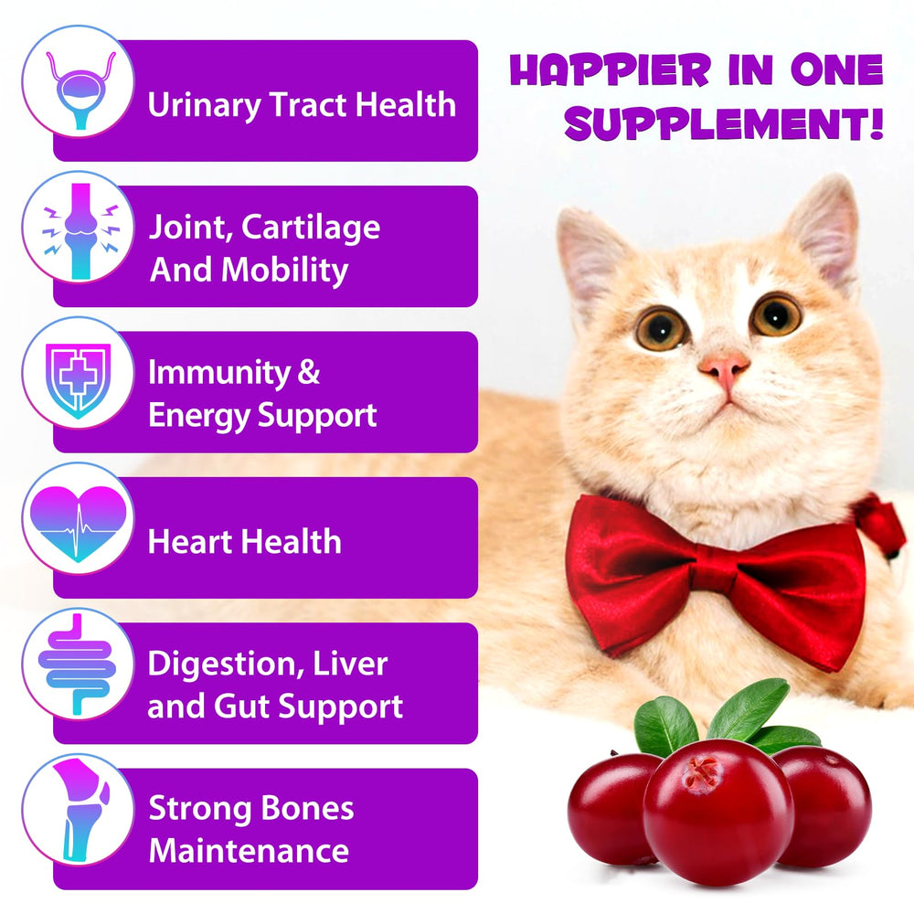 VOSIFSDIY cat cranberry urinary health for bladder wellness and infection prevention