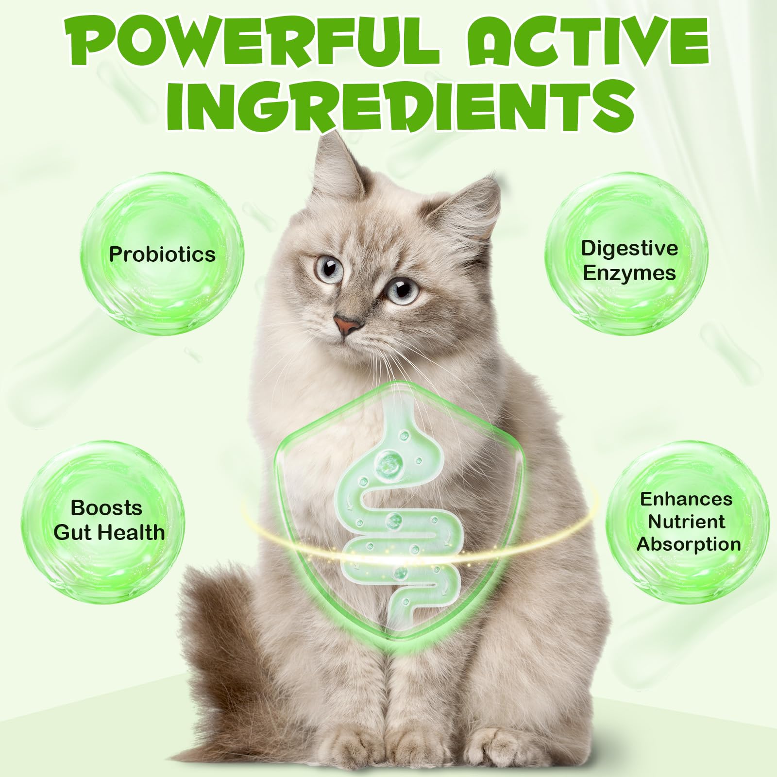 VOSIFSDIY Digestive Support for Cats captures daily routine use.