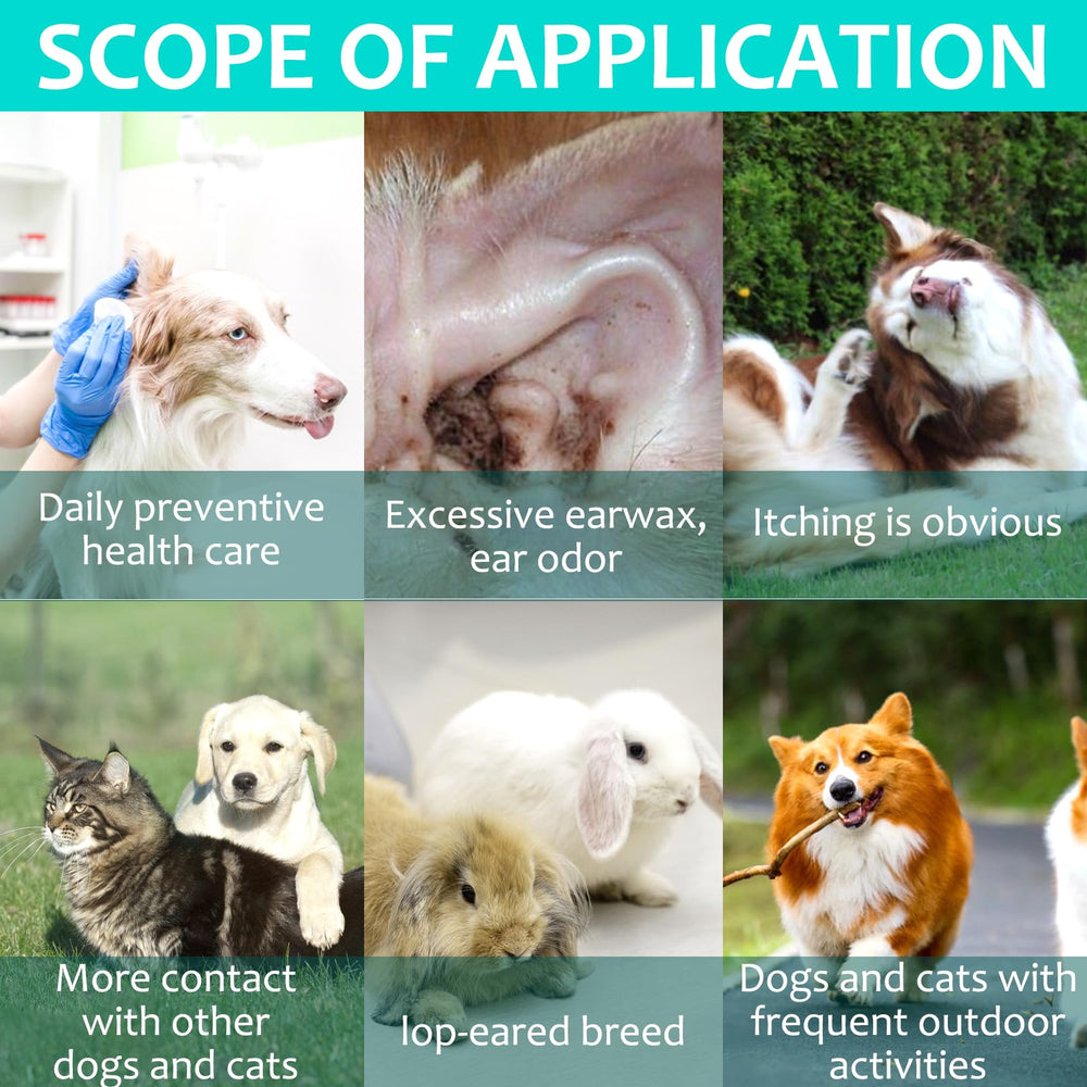VOSIFSDIY dog-ear-care-application demonstrates gentle use for pets.