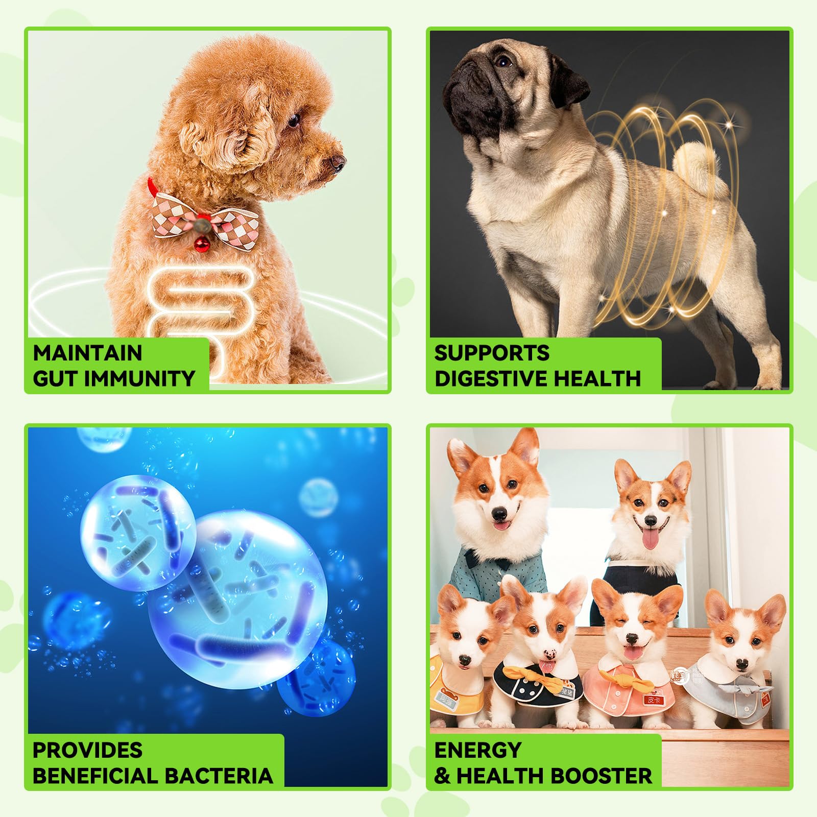 VOSIFSDIY Dog Probiotic bowl with dog illustrates feeding-friendly digestive support
