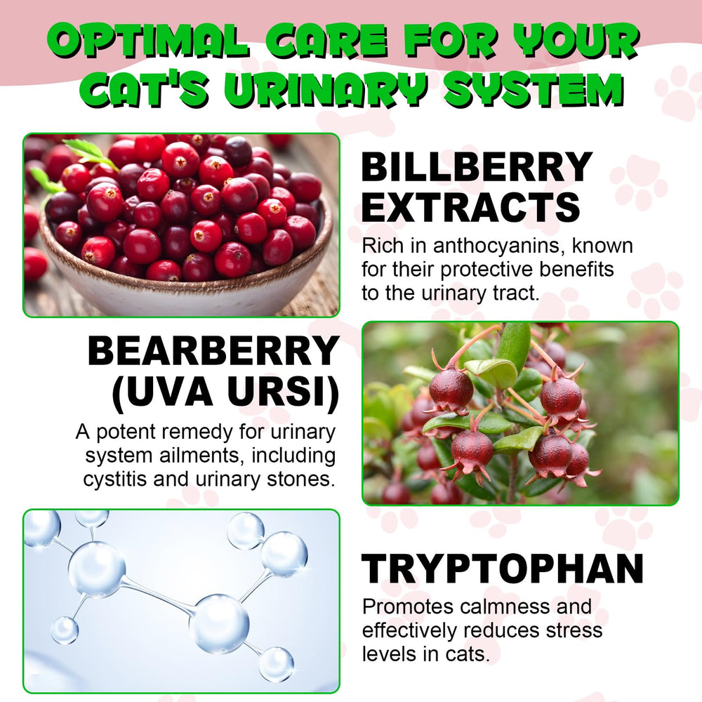 VOSIFSDIY marshmallow-root-ingredient signals soothing plant-based support.