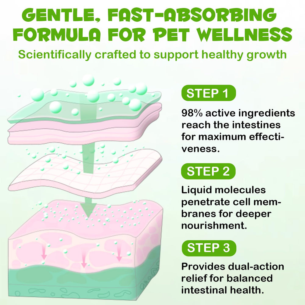 VOSIFSDIY Natural gut health support visual reflects a calm cat after meals.