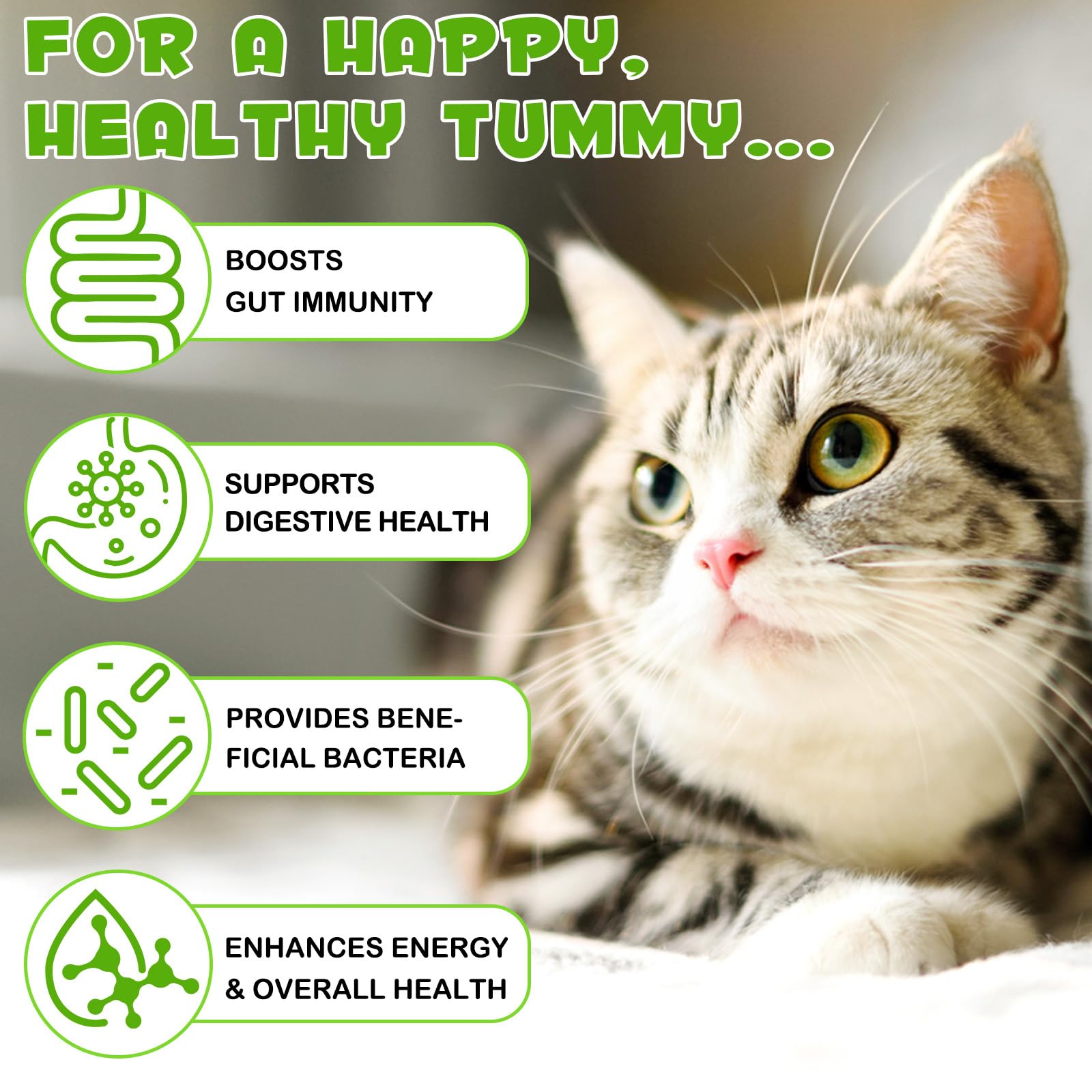 VOSIFSDIY Prebiotic-Probiotic Activation highlights synergy in gut flora support.