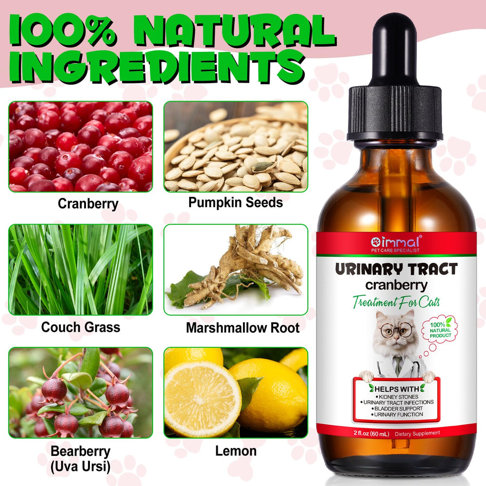 VOSIFSDIY pumpkin-seed-extract-panel emphasizes herbal blend for urinary care.