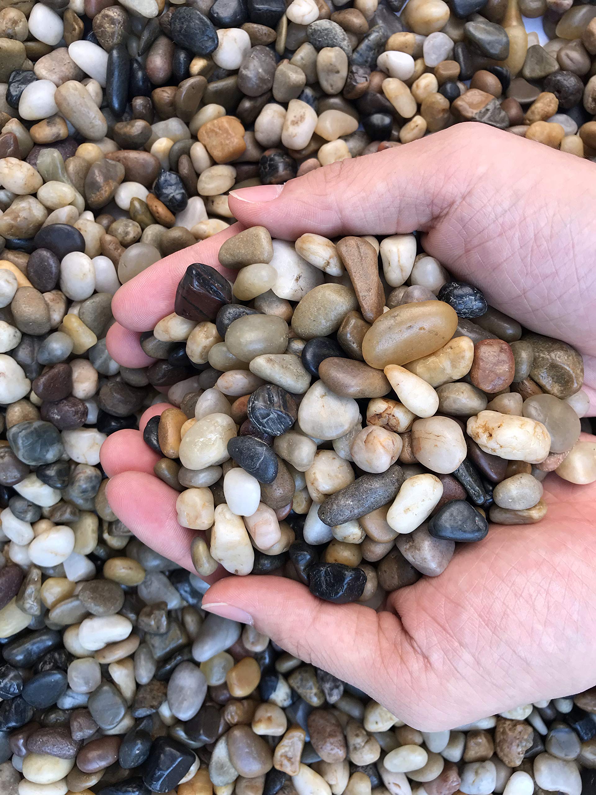 Voulosimi river rock stones vase fillers ready to brighten floral arrangements