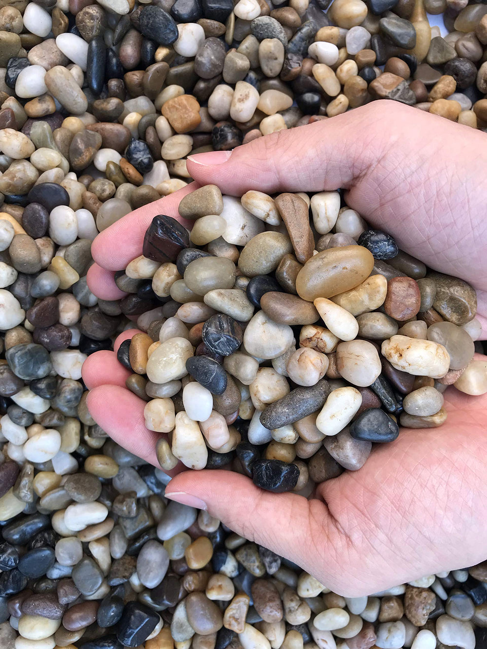 Voulosimi river rock stones vase fillers ready to brighten floral arrangements