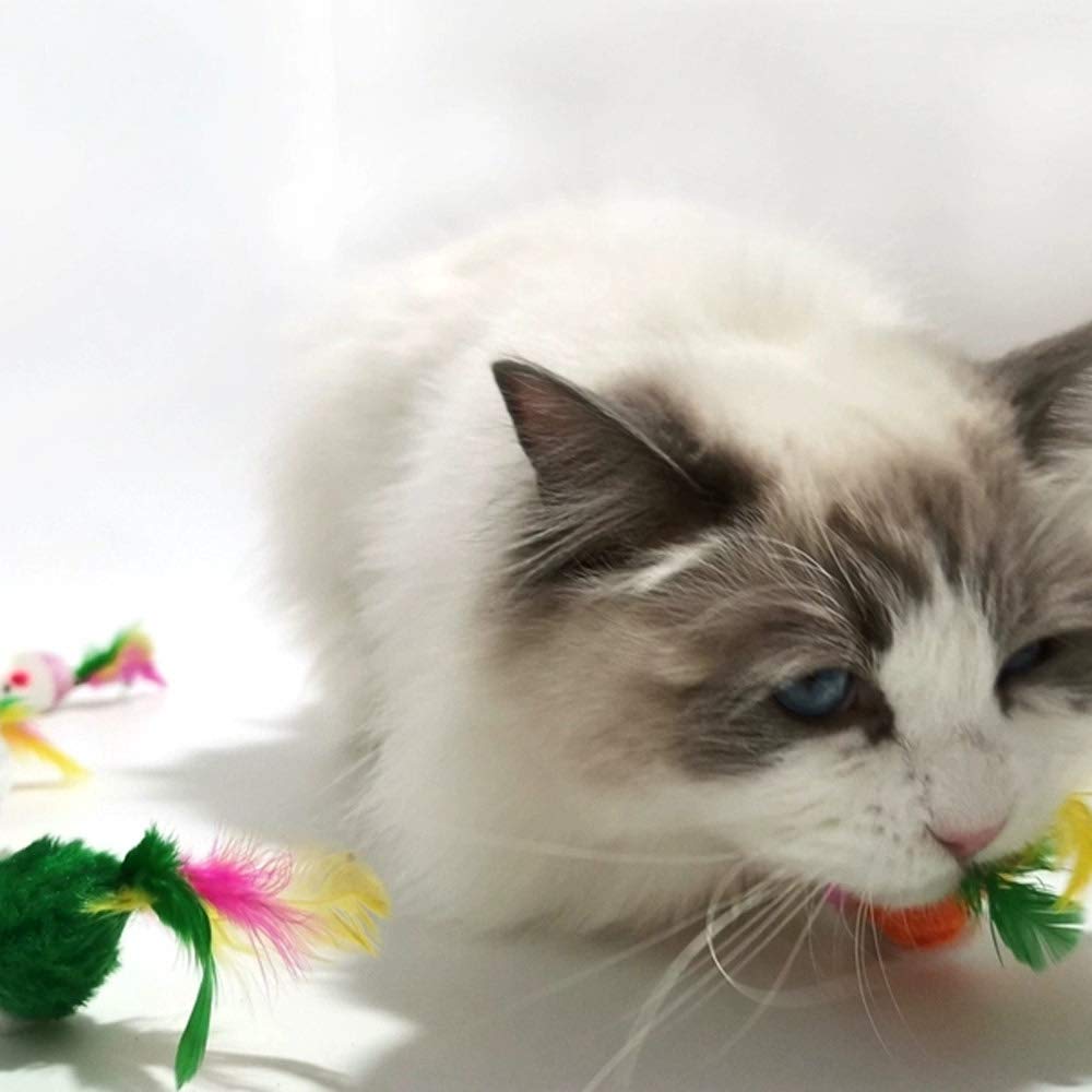 VOVIGGOL cat mice toys durable-materials ensure long-lasting indoor fun.
