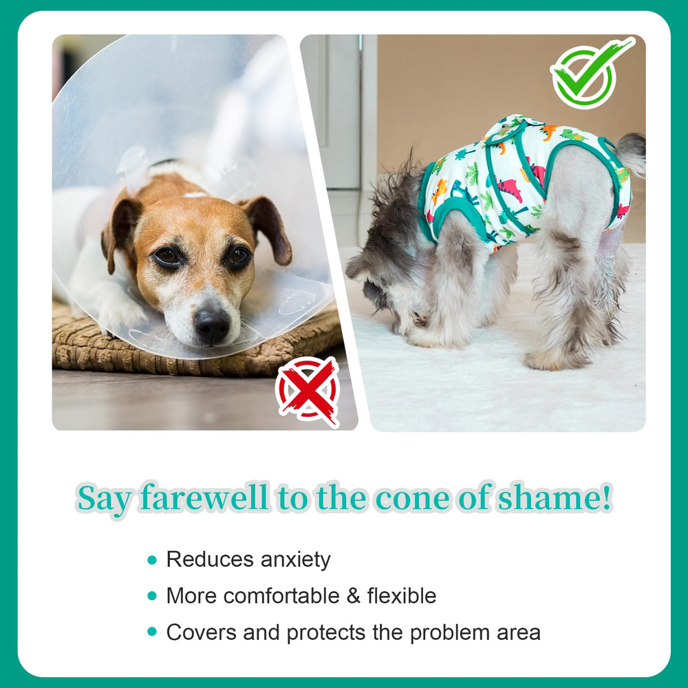 V.PET.B.R dog surgery recovery suit protects incisions from licking or scratching.