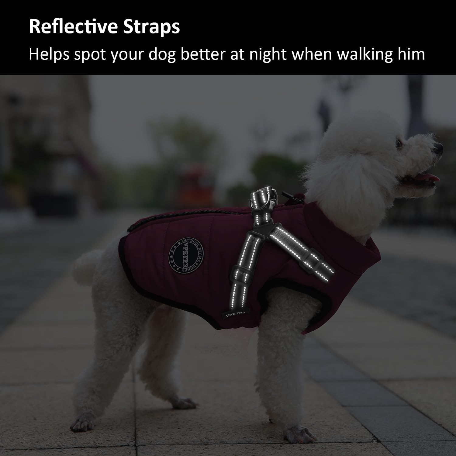 V.PET.B.R dog winter coat warm lined fabric keeps dog dry in light rain