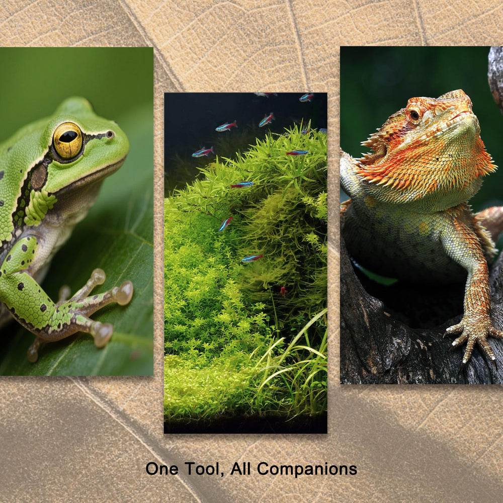 VryaSang terrarium tools for easy cleaning and maintenance.