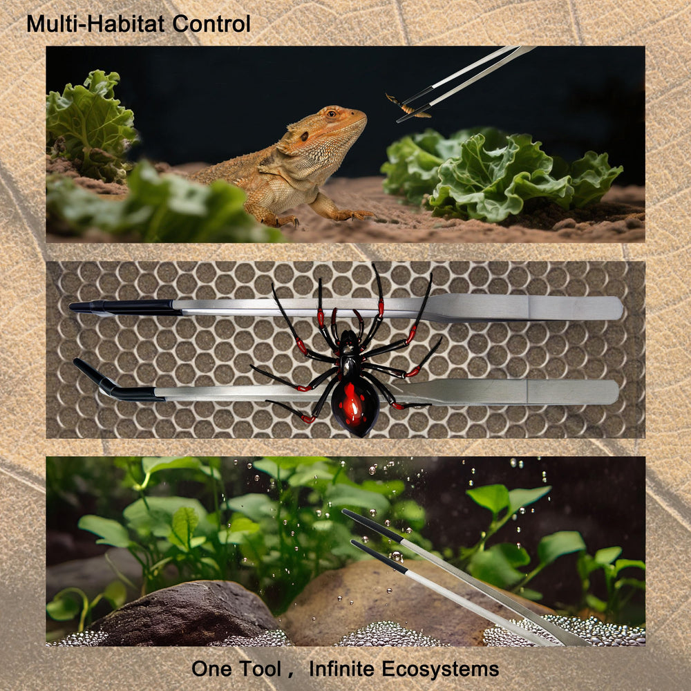 VryaSang bearded dragon tank accessories set improves feeding and setup.