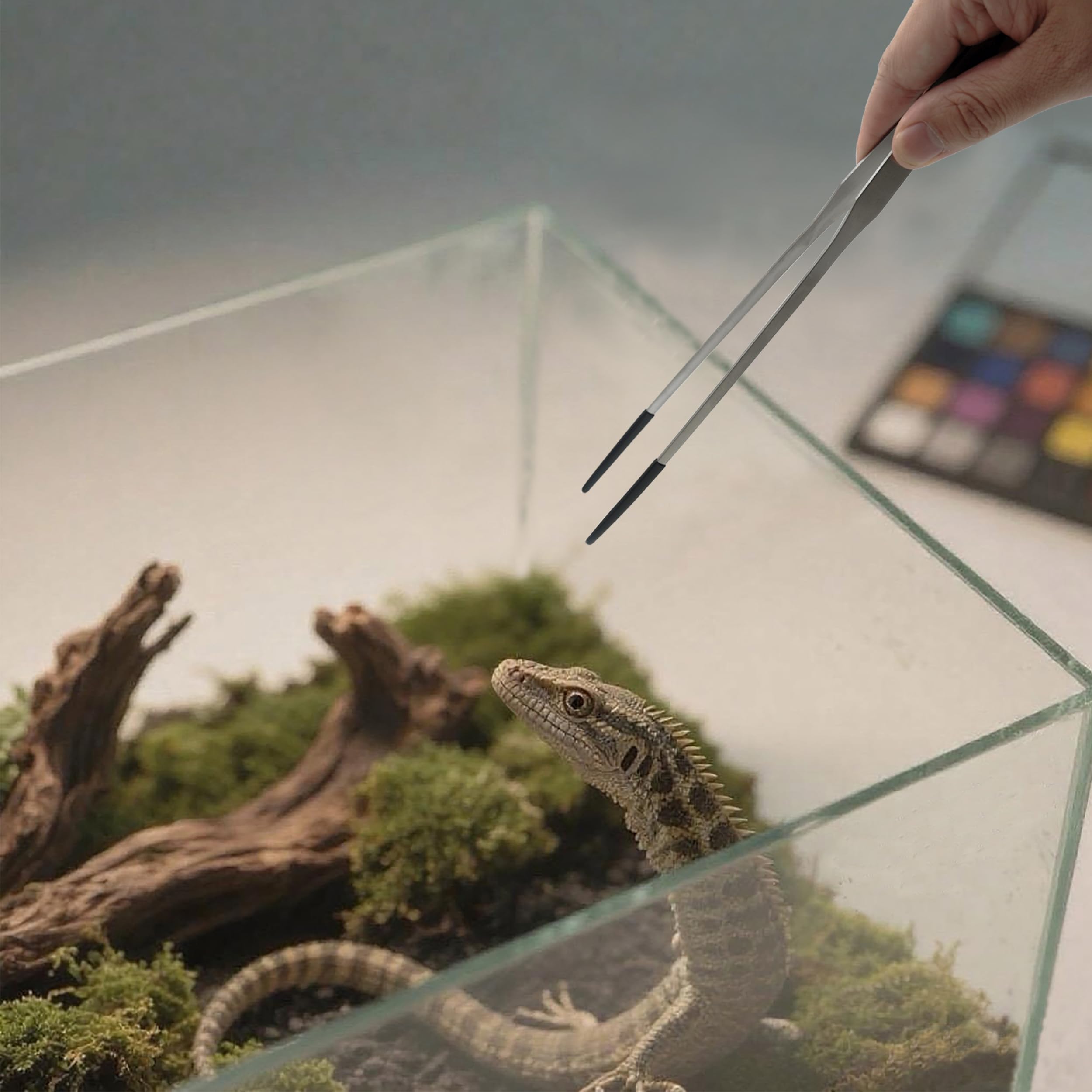 VryaSang stainless steel construction withstands humidity in terrariums.