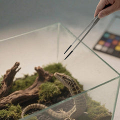 VryaSang stainless steel construction withstands humidity in terrariums.
