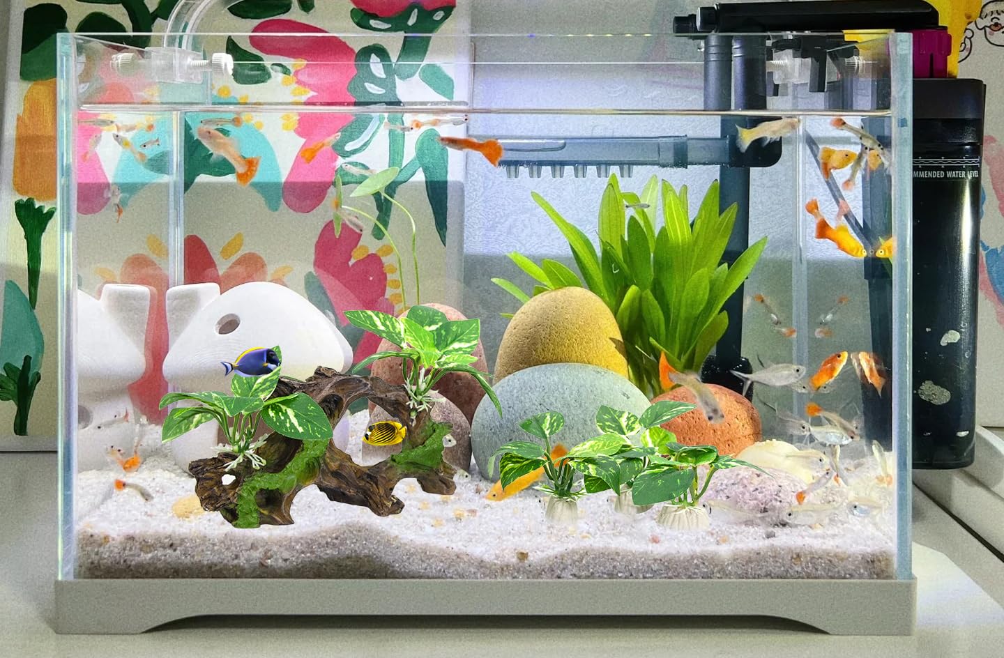 Vtapliea imagery shows ready-to-use habitats that spark curiosity in fish.