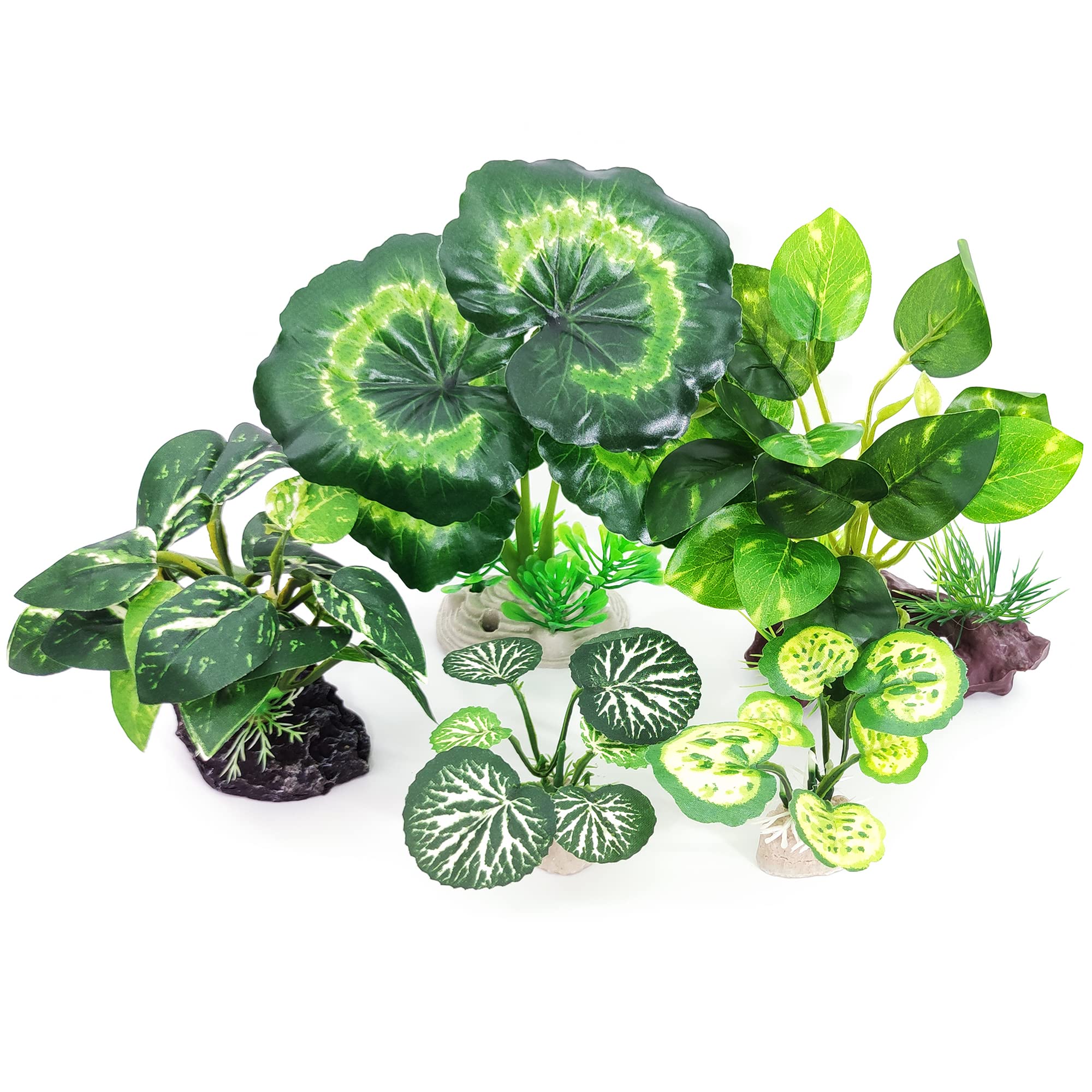 Vtapliea five-piece tank decor kit for quick, easy setup