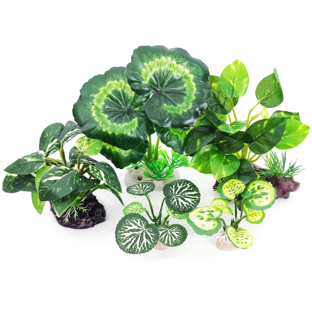 Vtapliea five-piece tank decor kit for quick, easy setup
