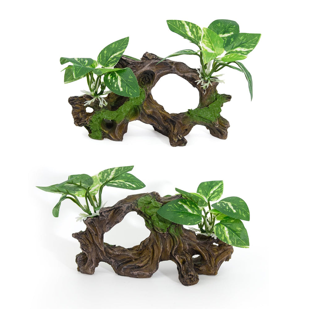 Vtapliea plastic plants offer vertical interest with 2-inch height in the setup.