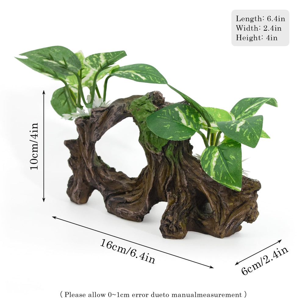 Vtapliea silk aquarium plants sway softly to enhance natural color in habitats.