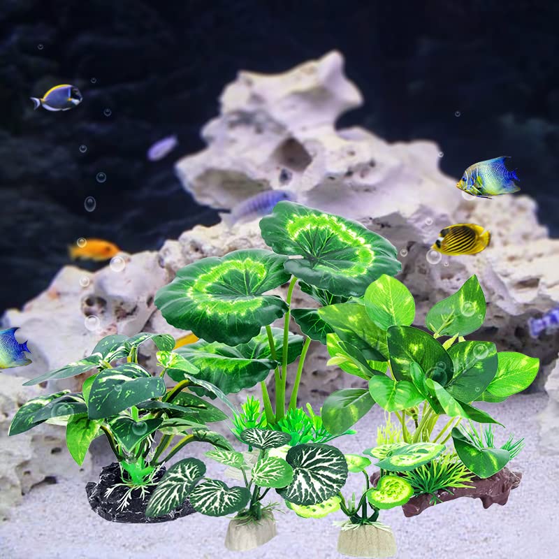 Vtapliea varied sizes aquarium plants create layered tank scenery