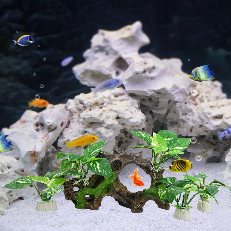 Vtapliea enhances the aquarium ecosystem with realistic, low-maintenance accents.