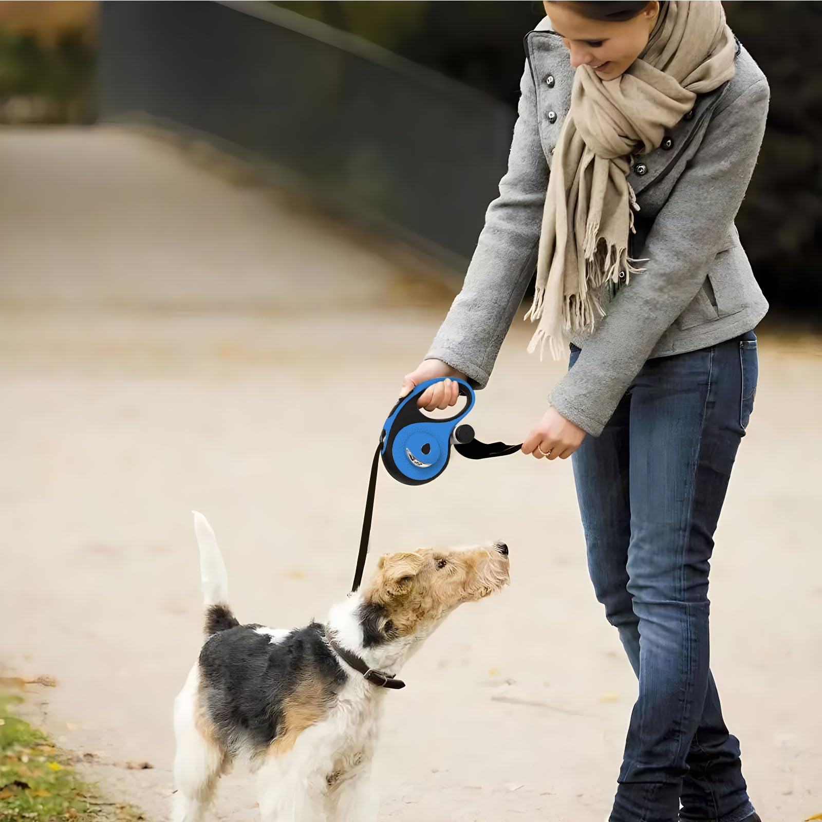 VTOPVMAX dog-walking scene in blue highlights everyday practicality