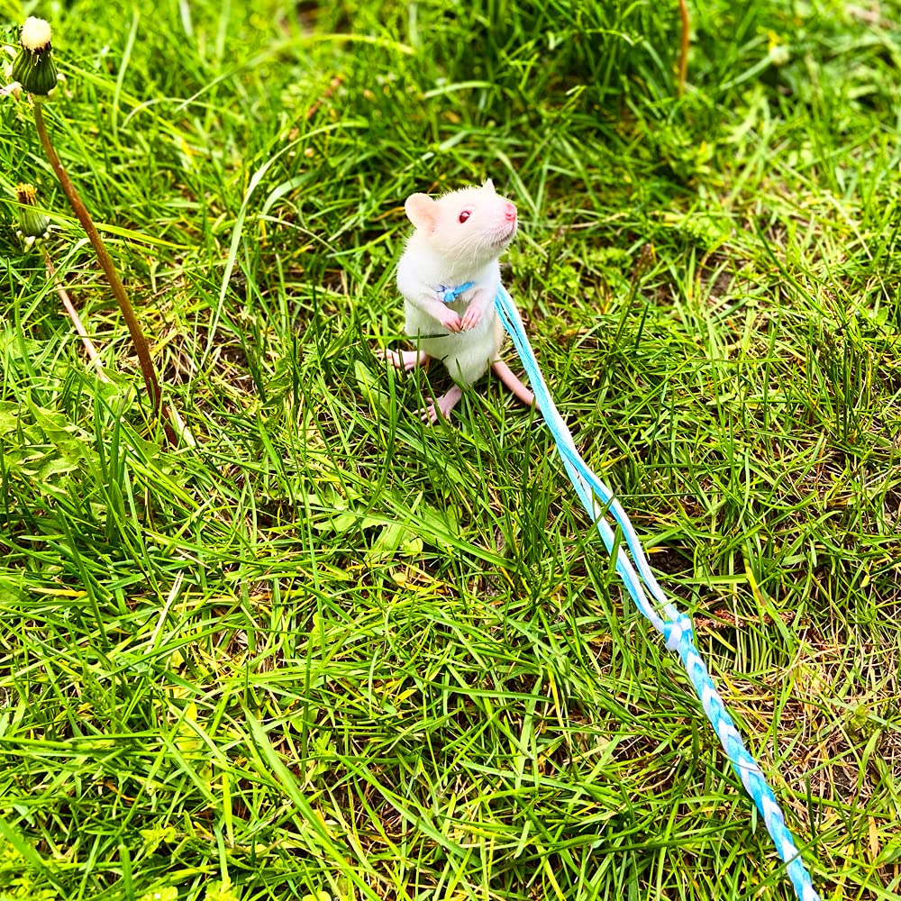 VTurboWay adjustable harness fit demonstrates customizable sizing for small pets.