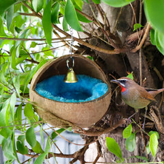 VTurboWay coconut nest with bell offers interactive enrichment during play.