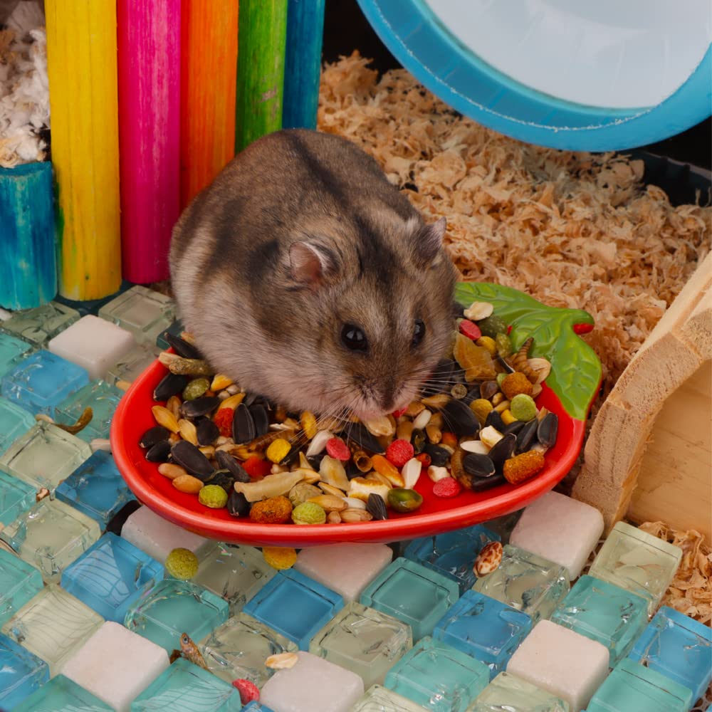 VTurboWay hamster ceramic bowls thick-wall build ensures durability