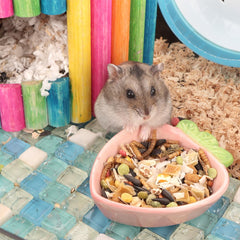 VTurboWay hamster ceramic bowls strawberry shape add cute appeal with mess control