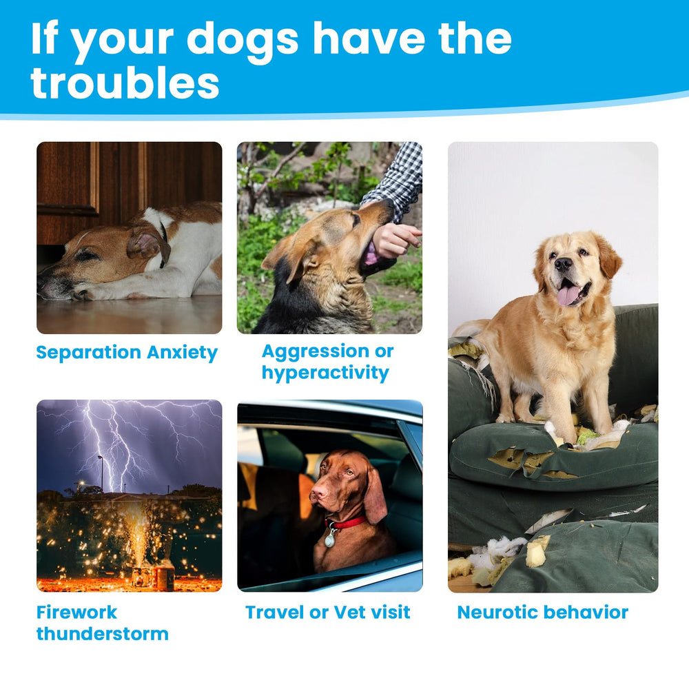 VUN Calming Chews soft-chew texture close-up for easy dosing.