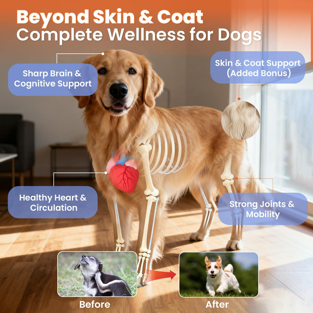 VUN Omega 3 dog chews coat shine closeup suggesting potential shedding reduction and healthier fur.