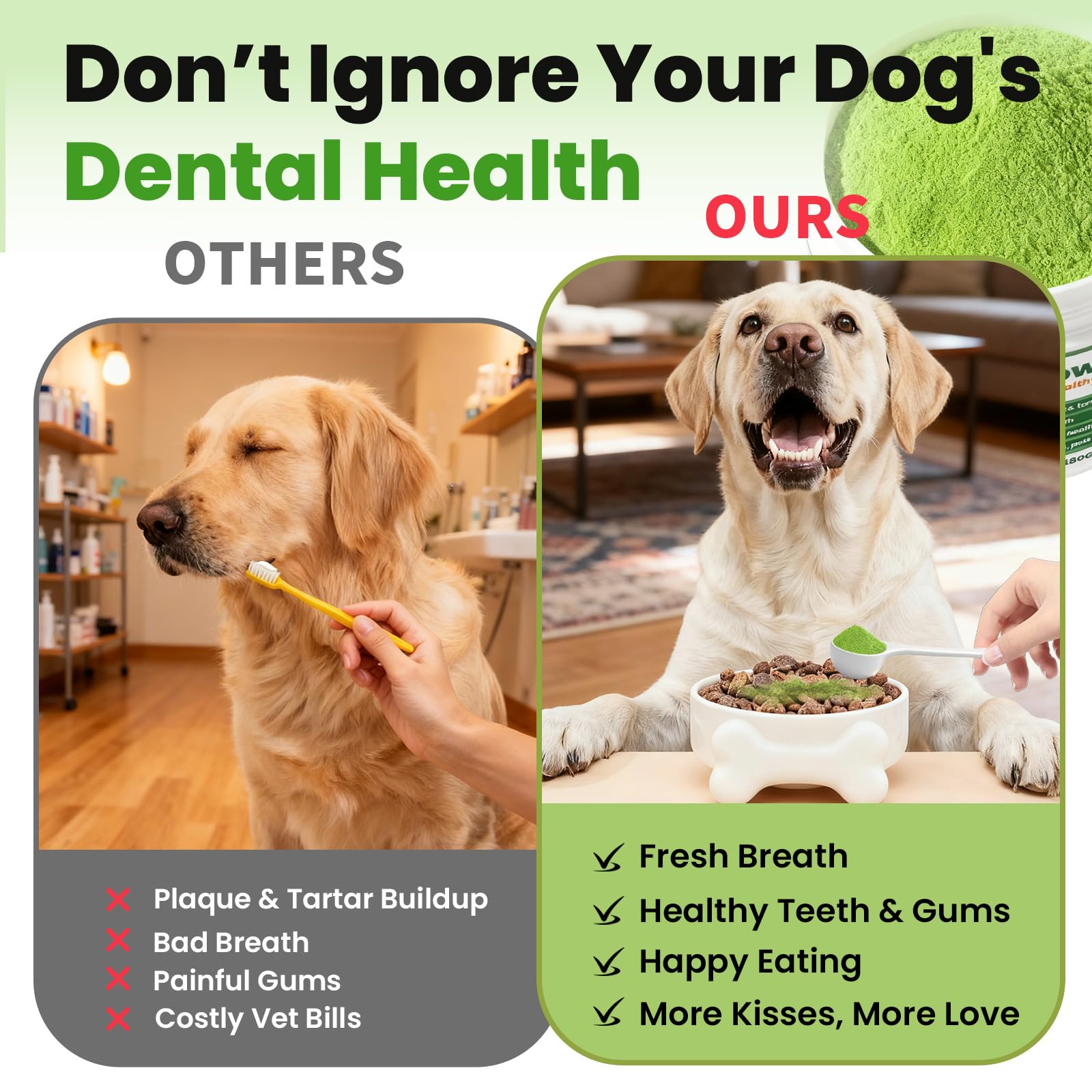 VUN Dog Dental Powder with brown algae as key ingredient