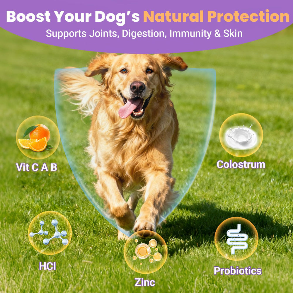VUN dog multivitamin digestion immune imagery highlights gut health.
