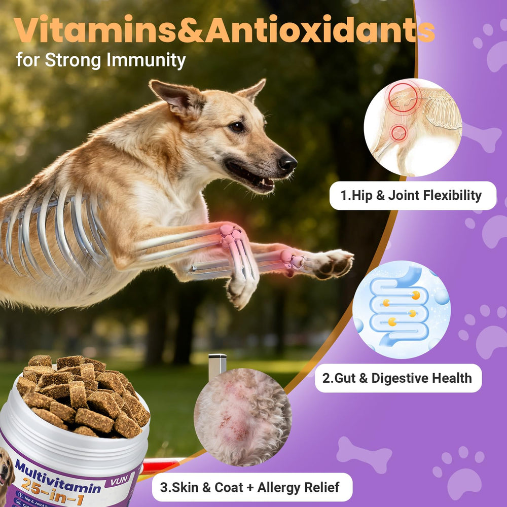 VUN dog multivitamin joint illustration shows hip and mobility benefits.