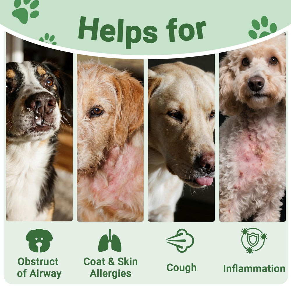 VUN Kennel Cough Drop shown with dosing dropper for precise administration