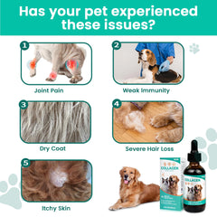 VUN Liquid Collagen Drops for dogs focusing on joint support