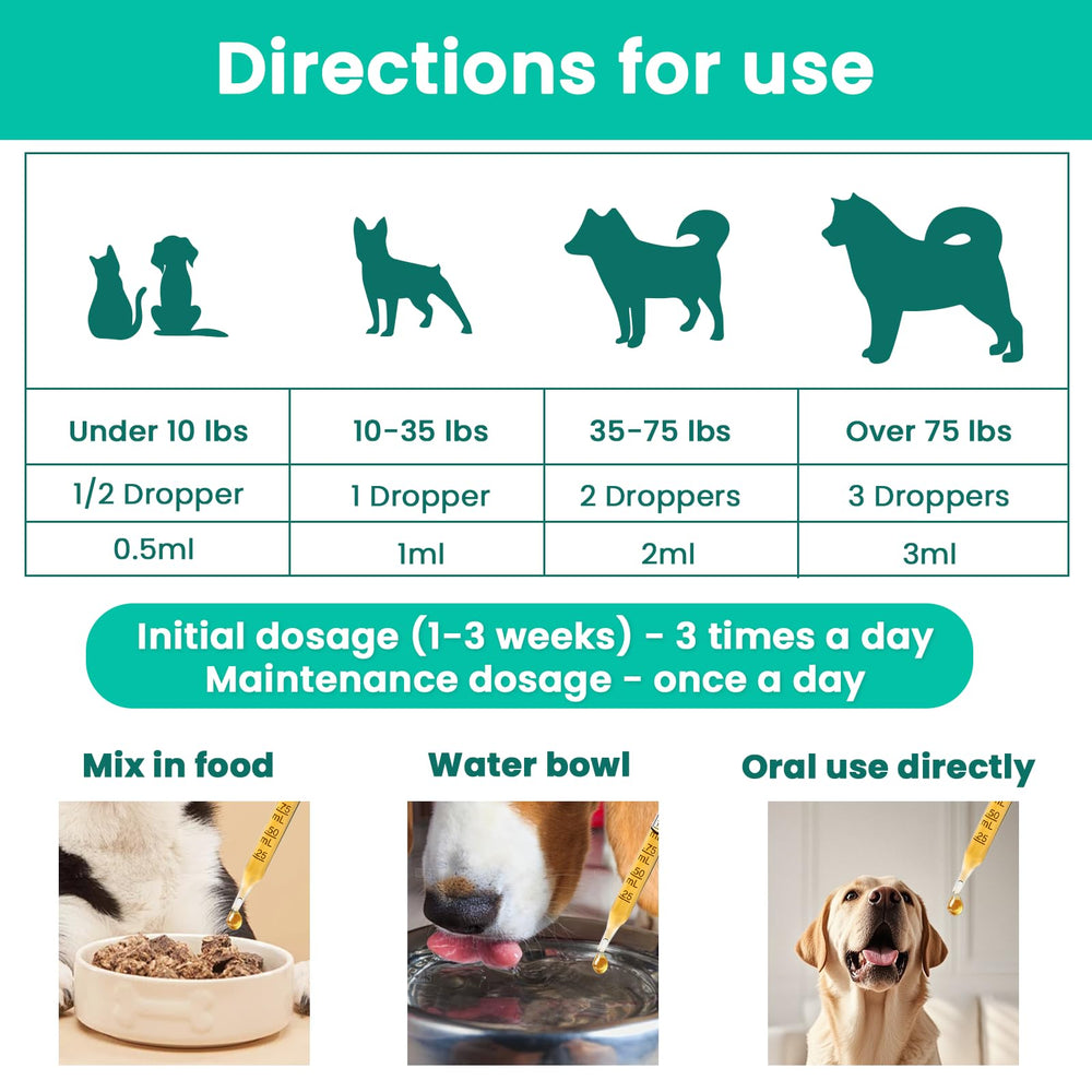 VUN Liquid Collagen Drops supports gut health and immune resilience